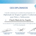 Ampliar imagen: certificate 10