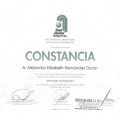 Ampliar imagen: certificate 4