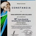 Ampliar imagen: certificate 4