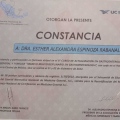 Ampliar imagen: certificate 11