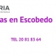 Tu Pediatra En Escobedo