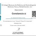 Ampliar imagen: certificate 17