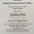 Ampliar imagen: certificate 9