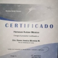 Ampliar imagen: certificate 35