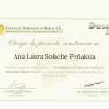 Ampliar imagen: certificate 6