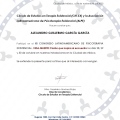 Ampliar imagen: certificate 36