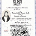 Ampliar imagen: certificate 5