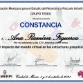 Ampliar imagen: certificate 4