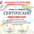 Ampliar imagen: certificate 9