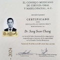 Ampliar imagen: certificate 15