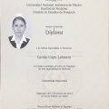 Ampliar imagen: certificate 4