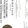 Ampliar imagen: certificate 4