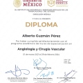 Ampliar imagen: certificate 5