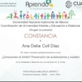Ampliar imagen: certificate 13