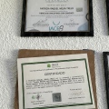 Ampliar imagen: certificate 7