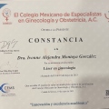 Ampliar imagen: certificate 4
