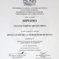 Ampliar imagen: certificate 5
