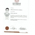 Ampliar imagen: certificate 4