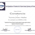Ampliar imagen: certificate 6