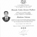 Ampliar imagen: certificate 11