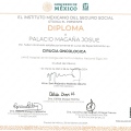 Ampliar imagen: certificate 4