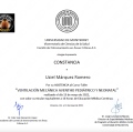 Ampliar imagen: certificate 5