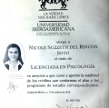Ampliar imagen: certificate 2