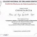 Ampliar imagen: certificate 9