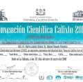 Ampliar imagen: certificate 19