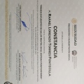 Ampliar imagen: certificate 21