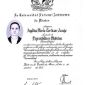 Ampliar imagen: certificate 4