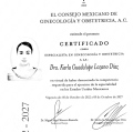 Ampliar imagen: certificate 1