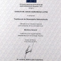 Ampliar imagen: certificate 4
