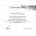 Ampliar imagen: certificate 4