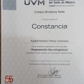 Ampliar imagen: certificate 10