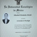 Ampliar imagen: certificate 3