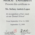 Ampliar imagen: certificate 1