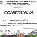 Ampliar imagen: certificate 5