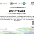 Ampliar imagen: certificate 11