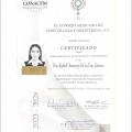 Ampliar imagen: certificate 1