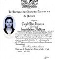 Ampliar imagen: certificate 3