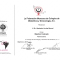 Ampliar imagen: certificate 5