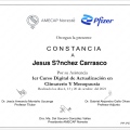 Ampliar imagen: certificate 20
