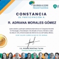 Ampliar imagen: certificate 7