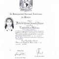 Ampliar imagen: certificate 9