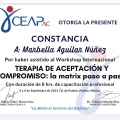 Ampliar imagen: certificate 6