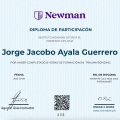Ampliar imagen: certificate 4