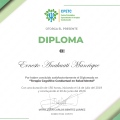 Ampliar imagen: certificate 9