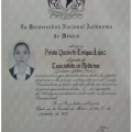 Ampliar imagen: certificate 8