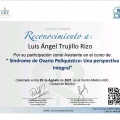 Ampliar imagen: certificate 24